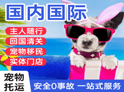 三明空运国际宠物托运 【国
